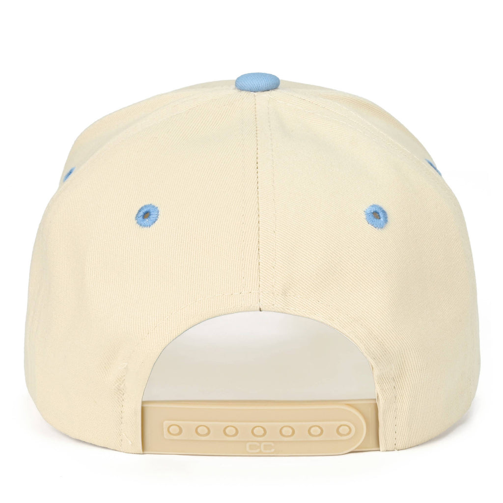 CC EXPENSIVE AND DELUSIONAL HAT, TCM 0182