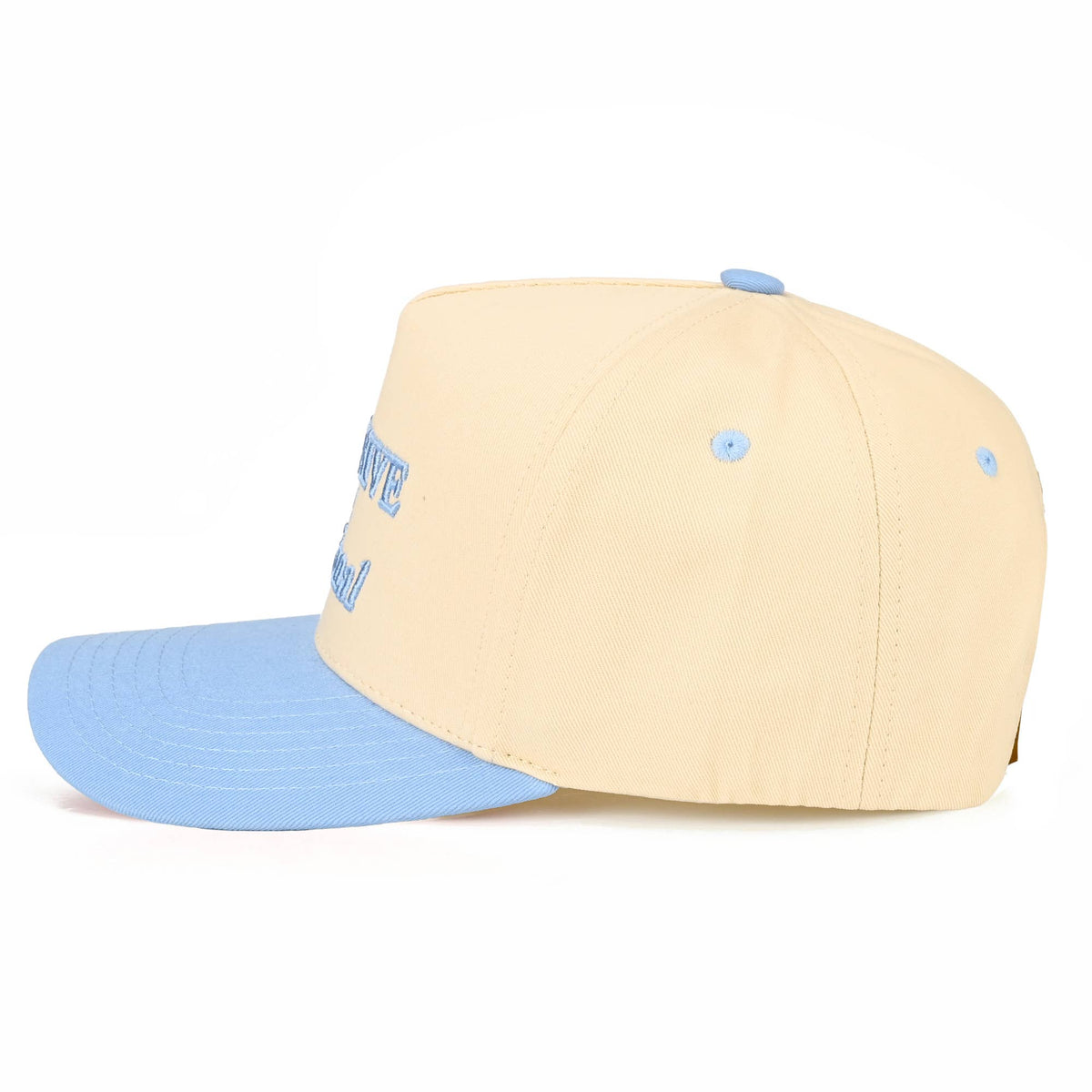 CC EXPENSIVE AND DELUSIONAL HAT, TCM 0182